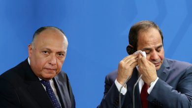 Photo of Egypt 2017: Foreign political crisis