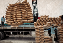 Photo of Crisis of Egypt’s Cement Sector