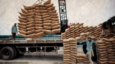 Photo of Crisis of Egypt’s Cement Sector
