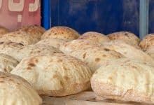 Photo of Egypt: Risks of using sweet potatoes in production of bread