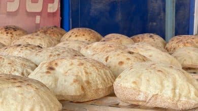Photo of Egypt: Risks of using sweet potatoes in production of bread